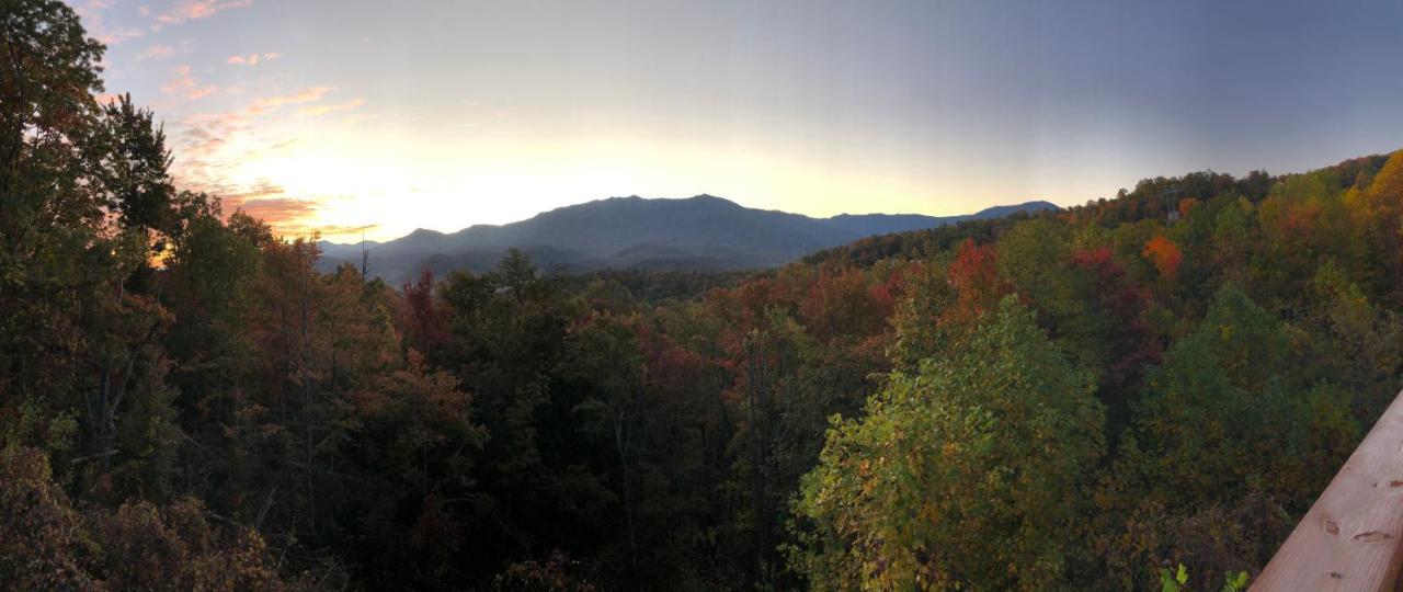 Heavenly View - Bear Themed Cabin, Hottub, Dog-Friendly, Near Gatlinburg Exterior photo